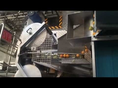 Orange Juice Processing Line Orange concentrate pulp production line