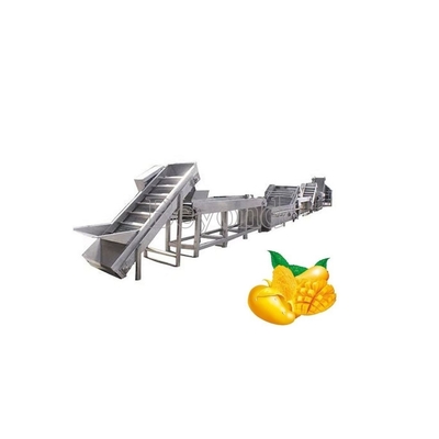 PLC Control Mango Processing Plant آلة معالجة لب المانجو 380V 50Hz